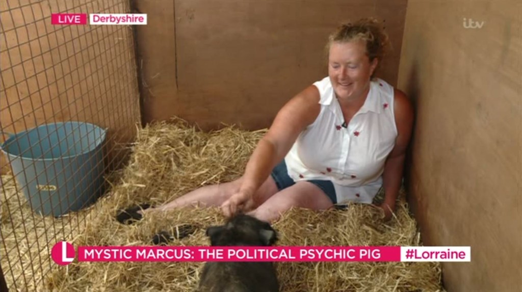 Mystic Marcus the psychic pig on Lorraine