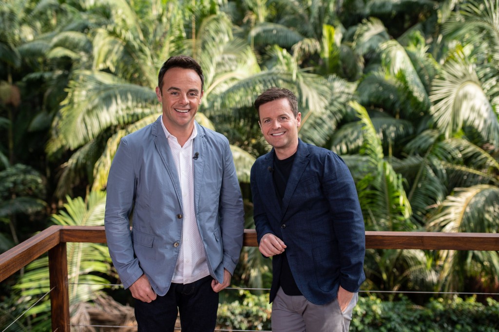 Anthony McPartlin and Declan Donnelly on I'm A Celebrity