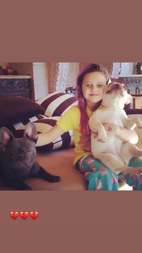 Alabama Barker pup, Blue passes away https://www.instagram.com/stories/alabamaluellabarker/2962862904234129088/