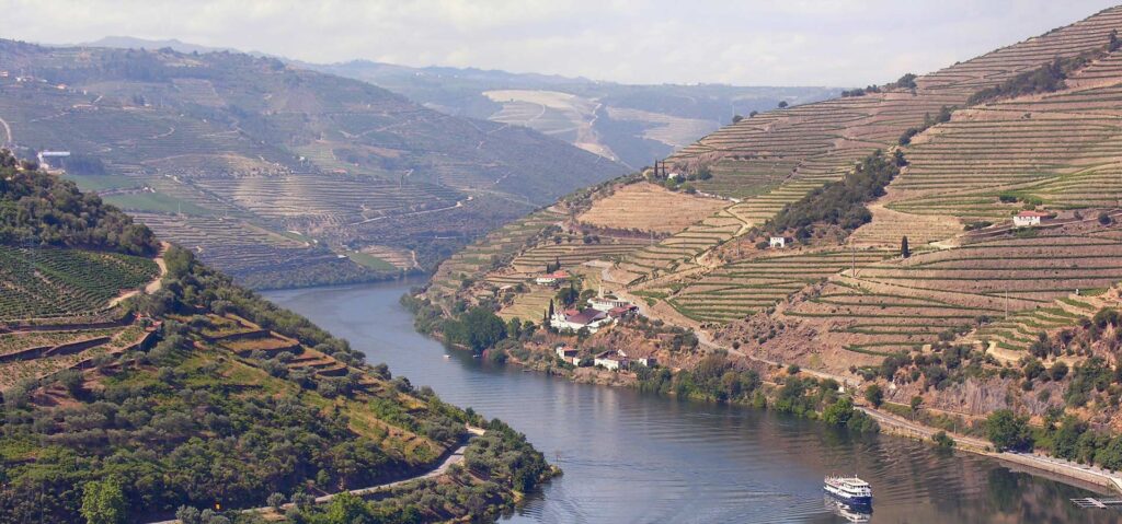 From Porto to California – the best tours and trips for wine lovers Talk about grape escapes.