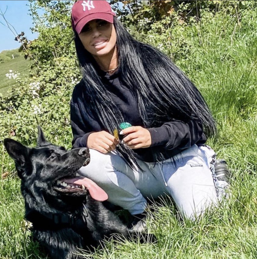 Katie Price adopts another dog despite petition and deaths of previous pets
