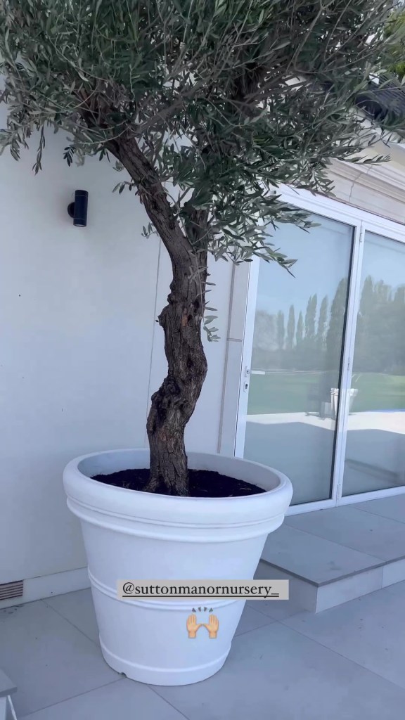 Mark Wright and Michelle Keegan's garden plant pots might be bigger than our house Instagram