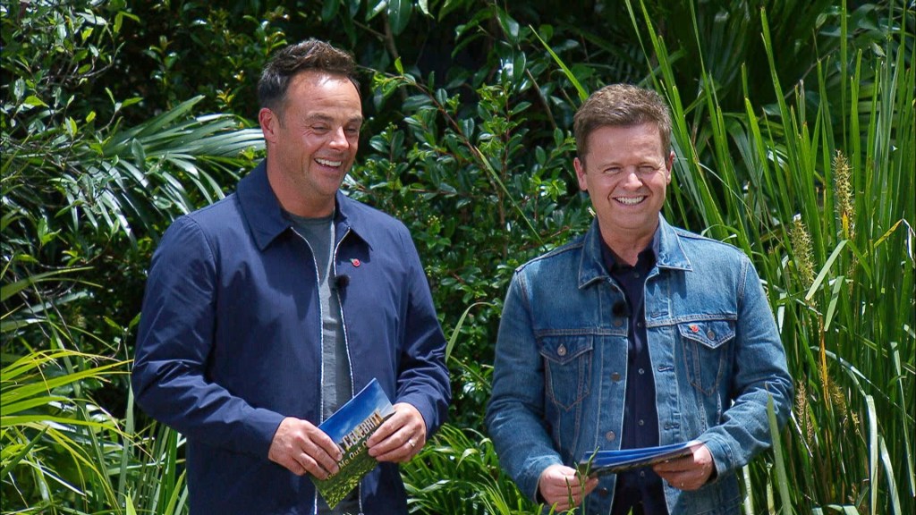 Bushtucker Trial, Tentacles of Terror - Ant and Dec 'I'm a Celebrity... Get Me Out of Here!' TV Show, Series 22, Australia - 10 Nov 2022