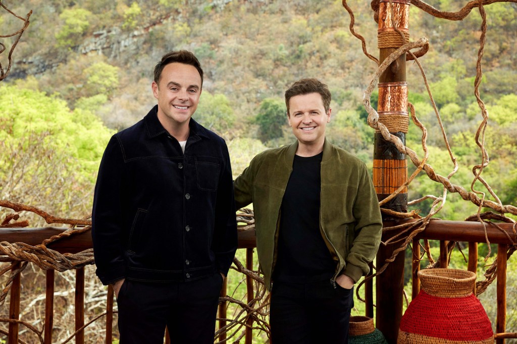 I'm A Celebrity hosts Anthony McPartlin and Declan Donnelly.