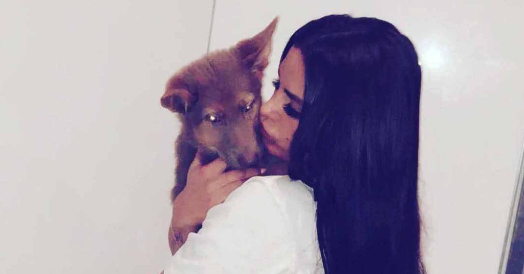 Katie Price ‘gives away her puppy as it doesn’t look cute on Instagram’ Katie Price reportedly gave away one of her dogs because it had gotten too old and 'no longer looked pretty on Instagram'.