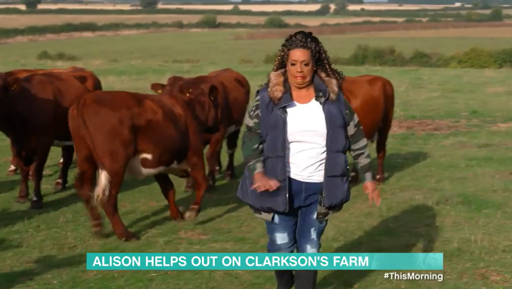 Alison Hammond running away from cows.